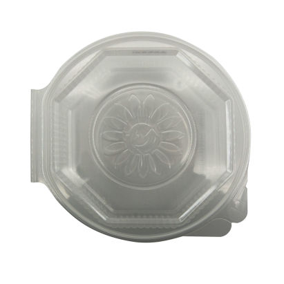  25 Stück Klappboxen Rippbox, ungeteilt, 215x220x57mm, transparent, mit anh. Deckel