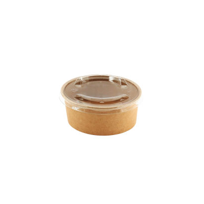 KIV 600 Stück rPET Flachdeckel für Bio Kraft- Bowl, Salatschale 320-600ml (CVPotcart601c), Ø120mm, transparent